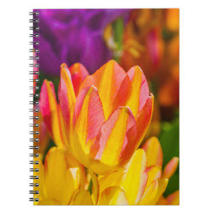 Tulips verzaubern 16 notizblock