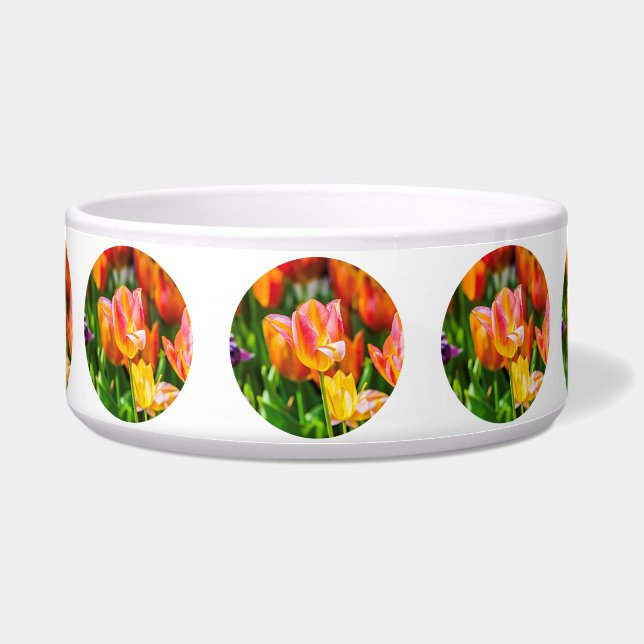 Tulips verzaubern 17 napf (Vorderseite)
