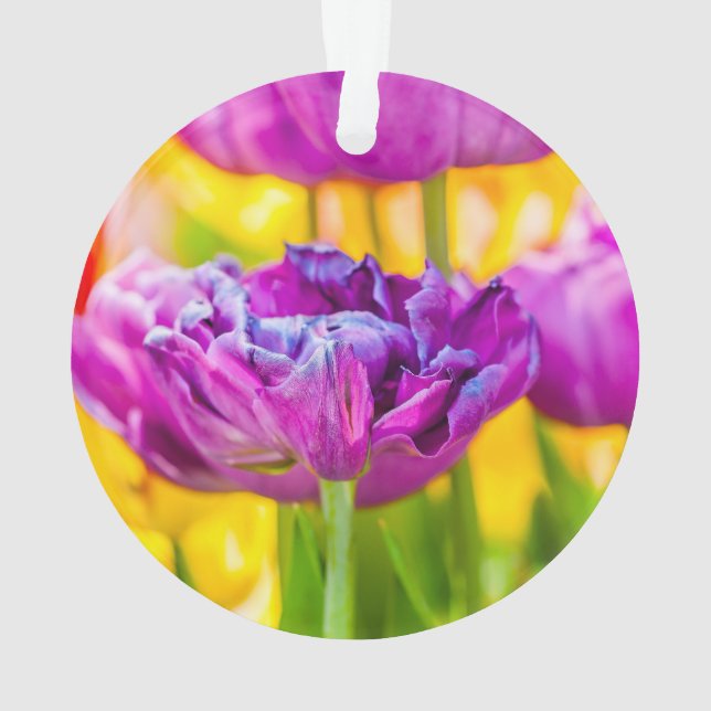 Tulips verzaubern Dunkelrosa Ornament (Rückseite)