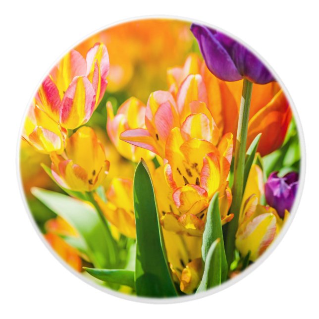 Tulips Verzauberung 01 Keramikknauf (Vorderseite)