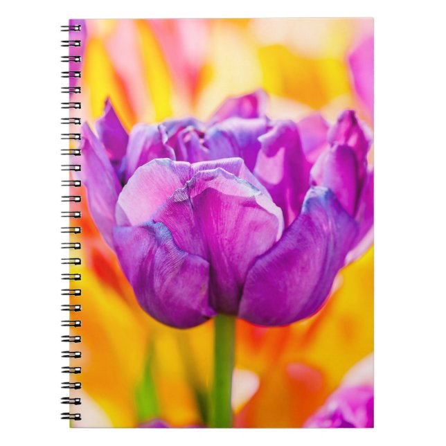 Tulips Verzauberung 06 Notizblock (Vorderseite)