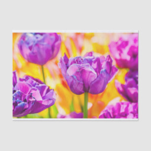Tulips Verzauberung 06 Seidenpapier