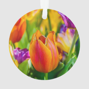 Tulips-Verzauberung Ornament