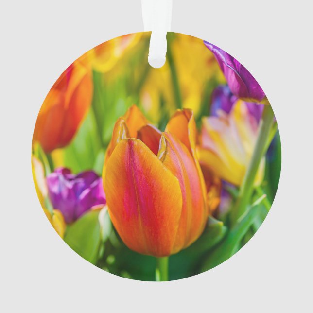 Tulips-Verzauberung Ornament (Rückseite)