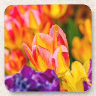 Tulips-Verzauberung Untersetzer