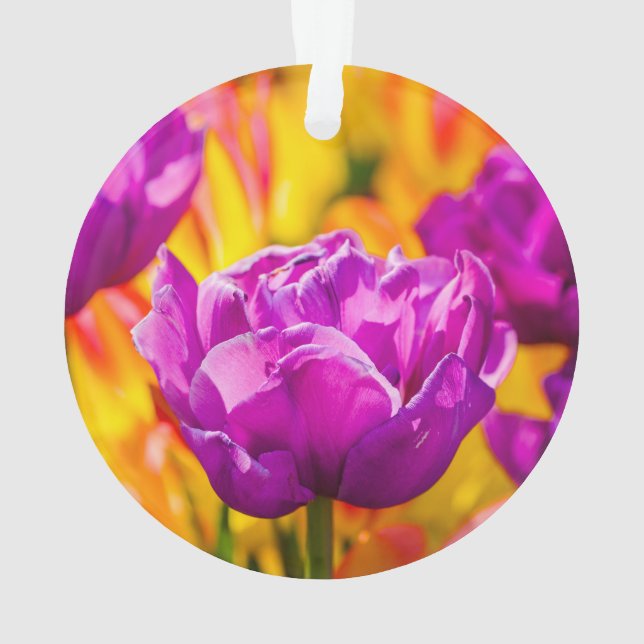 Tulips Verzauberung Violet Ornament (Rückseite)