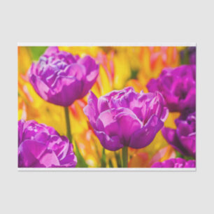 Tulips Verzauberung Violet Seidenpapier
