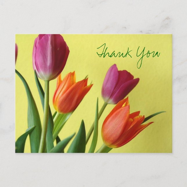 Tulips Vielen Dank Postcard Postkarte (Vorderseite)