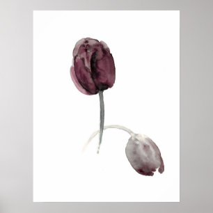 Tulips white poster purple flowers