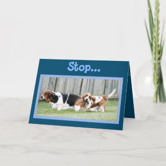 Tulissen auf lustig nur weil Karte mit Basset-Hund