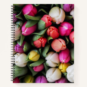 Tulissen Farbige Blume Osterfrühling Notizbuch