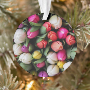 Tulissen Farbige Blume Osterfrühling Ornament
