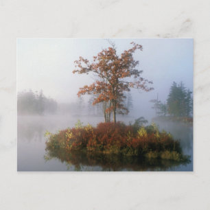 Tully Lake Island im Nebel Postkarte