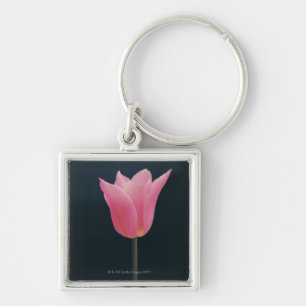 Tulpe 2 schlüsselanhänger