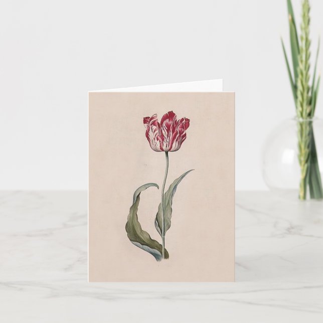 Tulpe-Anmerkungs-Karte Judith Leyster Karte (Vorderseite)