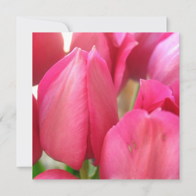 Tulpe-Birnen-Einladungen Einladung (Vorderseite)
