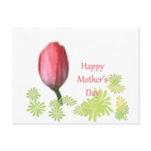 Tulpe-Blume, Tag der glücklichen Mutter