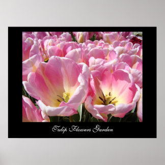 Tulpe-Blumen-Gartenkunst druckt ROSA Tulpen Poster