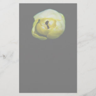 Tulpe Briefpapier