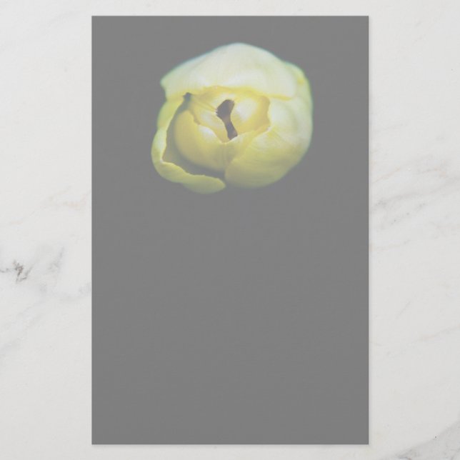 Tulpe Briefpapier (Vorderseite)