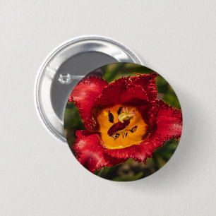 Tulpe Button
