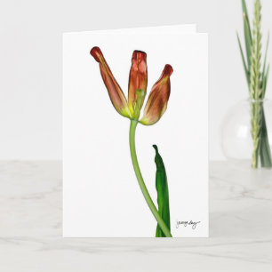 "Tulpe" durch J. Maya Luz Karte