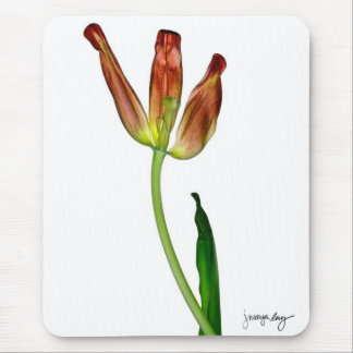 "Tulpe" durch J. Maya Luz Mousepad