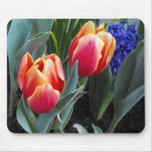 Tulpe-EIn Blume der Liebe Mousepad
