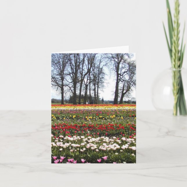 Tulpe fängt Grußkarte auf Karte (Vorderseite)