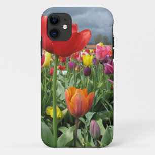Tulpe-Feld iPhone 11 Hülle
