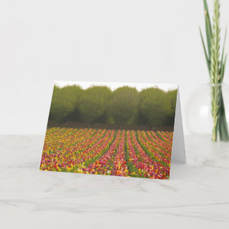 Tulpe-Feld-Gruß-Karte Karte