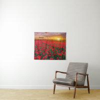 Tulpe-Felder am Sonnenuntergang in den
