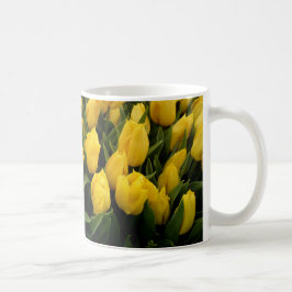 Tulpe-Festival - 27 Tassen