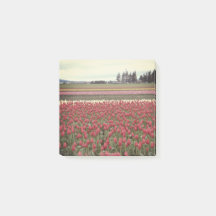 Tulpe-Festival-Post-Itanmerkungen
