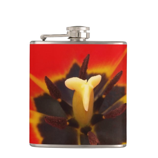 Tulpe Flachmann (Vorderseite)