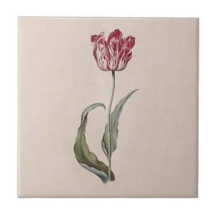 Tulpe-Fliese Judith Leyster Fliese