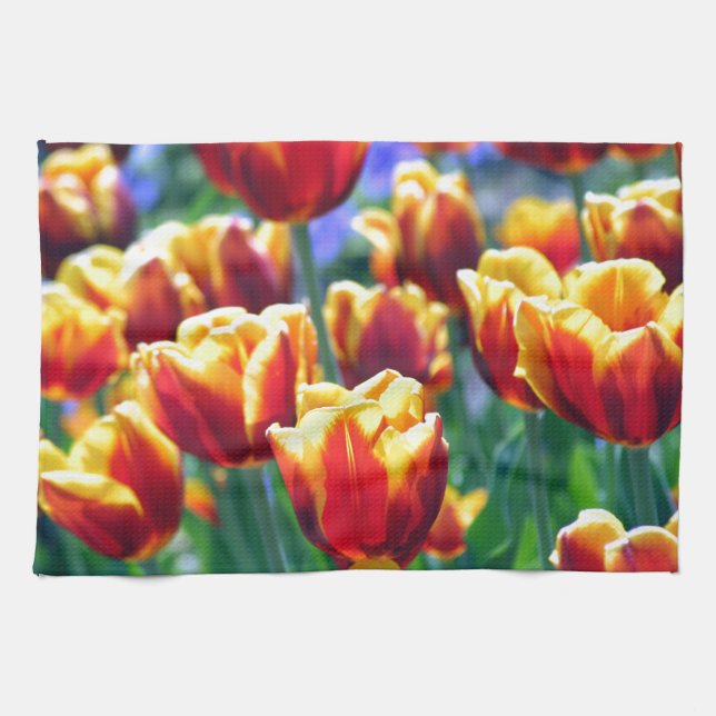 Tulpe-Foto-helles orange gelbes Grün Handtuch (Horizontal)