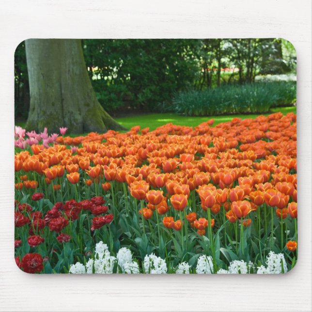 Tulpe-Garten Mousepad (Vorne)
