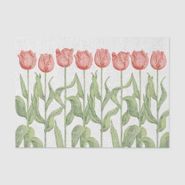 Tulpe-Garten Seidenpapier (Vorderseite)