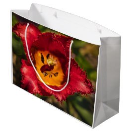 Tulpe Große Geschenktüte