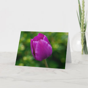 Tulpe Karte