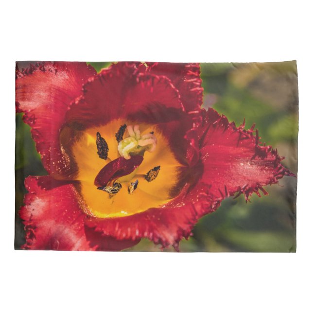 Tulpe Kissenbezug (Rückseite)