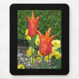 Tulpe Mousepad