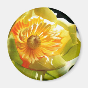 "Tulpe-Pappel-" Gelb-BlumeWatercolor Magnet