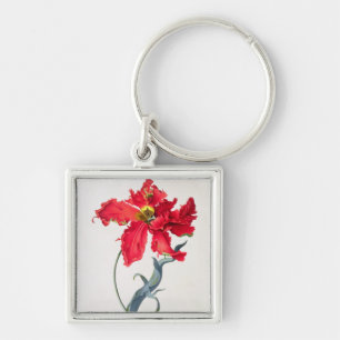 Tulpe: Perroquet Rouge Schlüsselanhänger