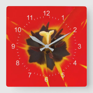 Tulpe Quadratische Wanduhr