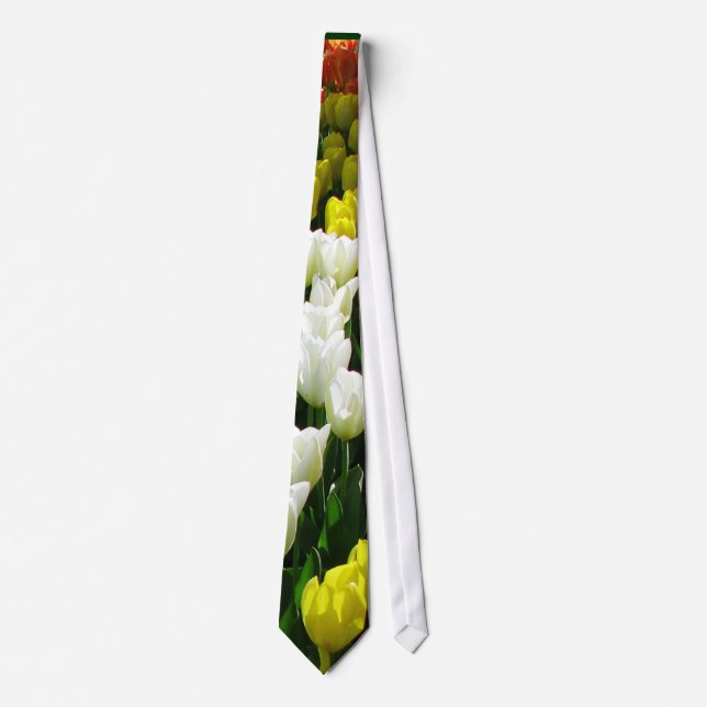 Tulpe-Regenbogen-Welle Krawatte (Vorderseite)