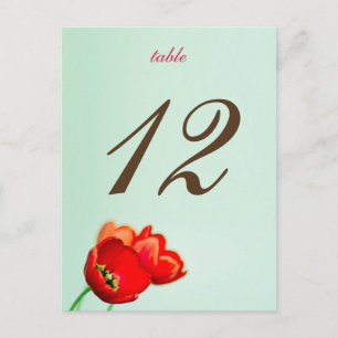 Tulpe Rosa Tischnummer