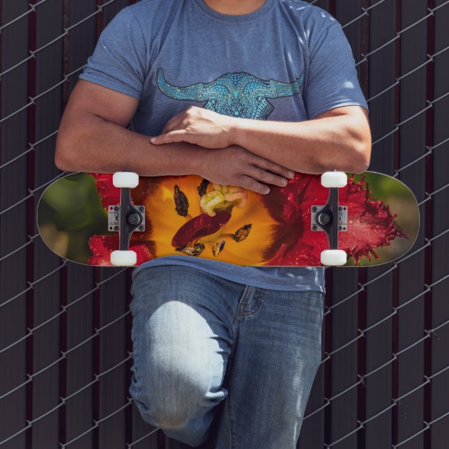 Tulpe Skateboard (Außenbereich 3)