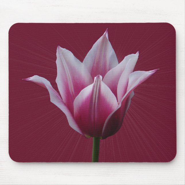 Tulpe w/sunburst ~ mousepad (Vorne)